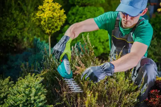 landscaping services New Madison